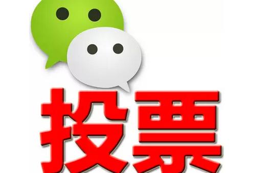 孝感市微信投票功能开发 上传图片投票